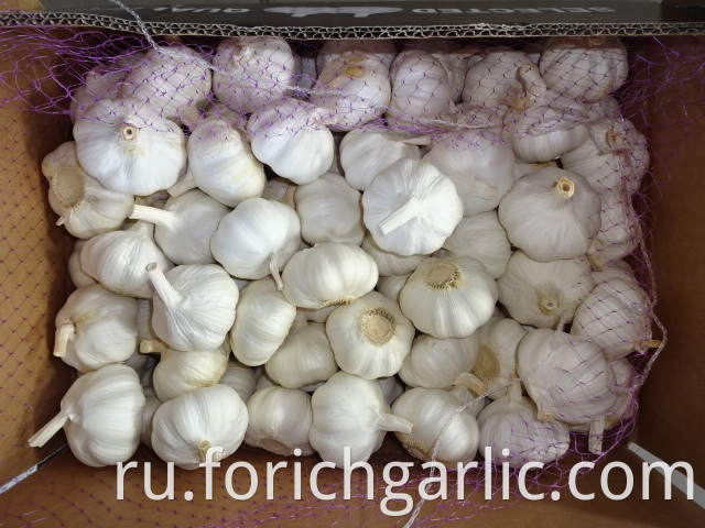 Pure White Garlic 2019